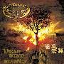窒息乐队 -《逆风飞扬》[FLAC]