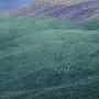 BUMP OF CHICKEN -《HAPPY》单曲[MP3]