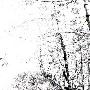 Agalloch -《The White》[MP3]