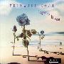 Bernward Koch -《温泉物语》(Laguna De La Vera)[分轨][FLAC]