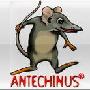 《JavaScript脚本专业编辑软件》(Antechinus JavaScript Editor) v10.0 Build 2 [安装包]
