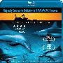 《海洋世界》(IMAX Wild Ocean)思路[1080P]