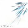 Little West -《Into The Little World》专辑[MP3]