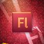 《Adobe Flash CS5新功能视频教程》(Video2Brain Neu in Adobe Flash CS5 GERMAN)[光盘镜像]