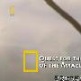 《寻找亚马逊大鱼》(Quest For The Megafish Of The Amazon)[HALFCD]