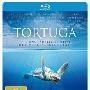 《海龟:奇妙之旅》(Turtle: The Incredible Journey )思路[1080P]