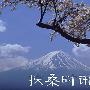《沪江日语资料：扶桑时讯合辑_音频＋视频》(hjfssx)[压缩包]