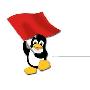 《红旗Linux 6.0SP3》(RedFlag-6.3-FullRepo-1.708-201003051006)6.0SP3[光盘镜像]