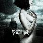 Bullet For My Valentine -《Fever》(狂热)[MP3]