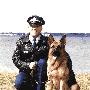 《警犬队 澳洲版 第一季》(The Dog Squad Season 1)更新至第1集[PDTV][TVRip]