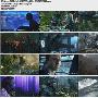 《阿凡达》(Avatar)英语中文字幕[720P]