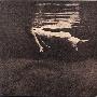 Bill Evans & Jim Hall -《Undercurrent》(潜流)[FLAC]