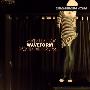 Deleted Waveform Gatherings -《Ghost, She Said》[MP3]