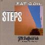 sheffield lab -《足迹》(Pat Coil - Steps)[APE]