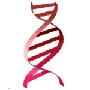 《DNA测序：寡核苷酸搜索选择软件》(Oligo) v7.37 [安装包]