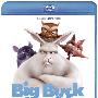 《大雄兔》(Big Buck Bunny)开源3D动画[720P]
