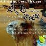 《数码摄影指南》(The Digital Photography Book)1,2,3版[压缩包]