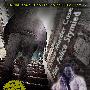 《地下室》(The Basement)[DVDRip]