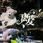 丝袜小姐 -《就等故事都经过》[MP3]