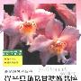 《洋兰品种及其装饰栽培(养花新风情丛书)》((德)约阿西姆·埃夫卡姆普)中译本,扫描版[PDF]