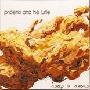 Phoenix And The Turtle -《Asleep in America》[MP3]