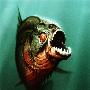 《食人鱼3D》(Piranha 3D)[预告片]