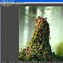 《3DS MAX常春藤制作VR渲染》(CG tutsplus Cgtuts+ Create an Ivy Covered Tree Stump with 3ds Max Ivy Gen and VRay)MAX2009[压缩包]