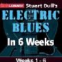 《Lick Library 6周吉他教学 电声蓝调》(LL - Electric Blues in 6 weeks)[DVDRip]