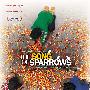 《麻雀之歌》(The Song Of Sparrows )人人影视[RMVB]
