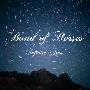 Band of Horses -《Infinite Arms》[MP3]
