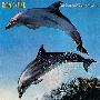 Orange Juice -《You Can't Hide Your Love Forever》[MP3]