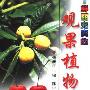 《鲜丽充实的观果植物》(陈小奎)扫描版[PDF]