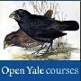 《耶鲁大学开放课程：进化，生态和行为原理》(Open Yale course：Principles of Evolution, Ecology, and Behavior  更新至第五课：如何选择更改种群的遗传组成)MOV 高清版