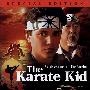 《小子难缠》(The Karate Kid)[BDRip]