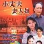 《小丈夫秋月/小丈夫》分集剧情介绍（1-40全集）大结局内容介绍