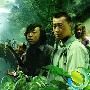 《幻想之旅》分集剧情介绍（1-31全集）大结局内容介绍