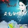 《又见白娘子》分集剧情介绍（大结局）内容介绍