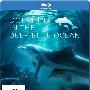 《深蓝色海洋里的海豚》(Dolphins In The Deep Blue Ocean)[BDRip]