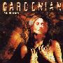 Gardenian -《Soulburner》[MP3]
