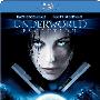 《黑夜传说2：进化》(Underworld Evolution)[YDY出品][移动设备][MP4]