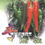 《专家教你种蔬菜：辣椒》(黄贞 & 常绍东)扫描版[PDF]