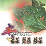 《专家教你种蔬菜：蕹菜、苋菜、藤菜》(罗志刚 & 黄绍宁)扫描版[PDF]