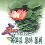《专家教你种蔬菜：西洋菜、马蹄、莲藕》(林鉴荣 & 林春华)扫描版[PDF]