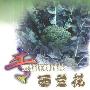 《专家教你种蔬菜：西兰花》(李向阳)扫描版[PDF]