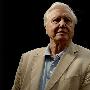 《Channel 4 英国的天才》(Channel 4 The Genius Of Britain)更新至第1集[PDTV][TVRip]
