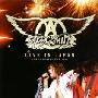 Aerosmith -《Live in Japan at Tokyo Stadium》[DVDRip]