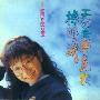 陶晶莹 -《天空不要为我掉眼泪》[MP3]