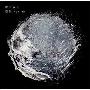 樱井敦司 -《惑星-Rebirth-》[MP3]