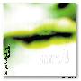 Plastic Tree -《Single Collection 》[MP3]