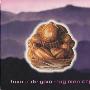 Banco de Gaia -《Big Men Cry》[APE]